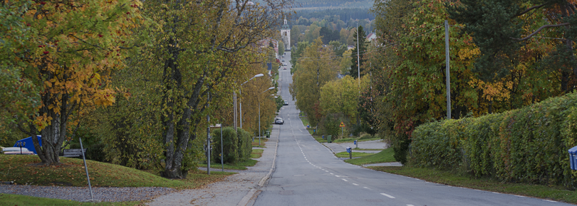 Vy över Strömsund från Lindbergsbacken.