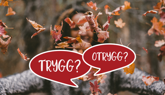 Bild med texten: Trygg? Otrygg?